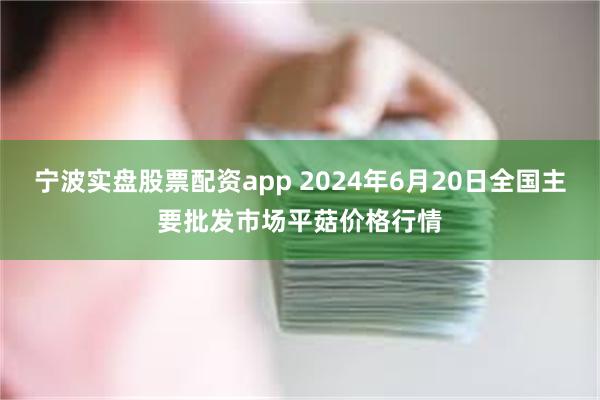 宁波实盘股票配资app 2024年6月20日全国主要批发市场平菇价格行情