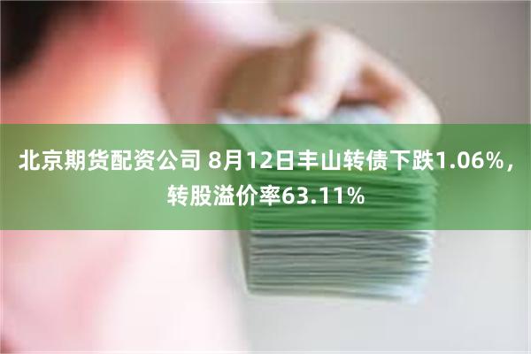 北京期货配资公司 8月12日丰山转债下跌1.06%，转股溢价率63.11%