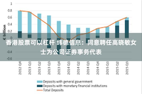 香港股票可以杠杆 纬德信息：同意聘任高晓敏女士为公司证券事务代表