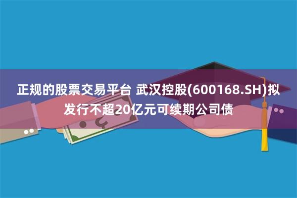 正规的股票交易平台 武汉控股(600168.SH)拟发行不超20亿元可续期公司债