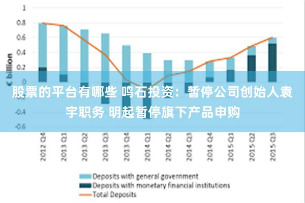 股票的平台有哪些 鸣石投资：暂停公司创始人袁宇职务 明起暂停旗下产品申购