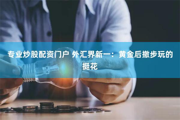 专业炒股配资门户 外汇界新一：黄金后撤步玩的挺花