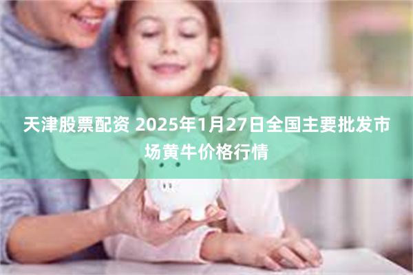 天津股票配资 2025年1月27日全国主要批发市场黄牛价格行情