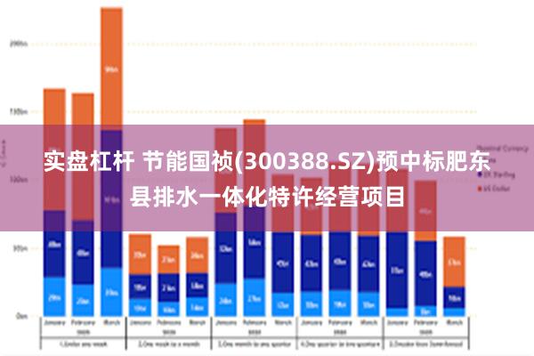 实盘杠杆 节能国祯(300388.SZ)预中标肥东县排水一体化特许经营项目